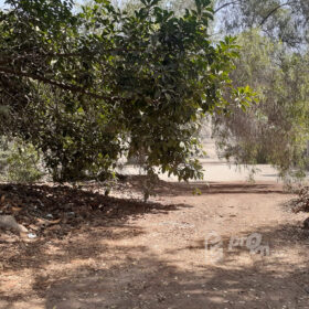 Remate!!! Oportunidad lindo terreno, zona exclusiva I etapa de La Planicie